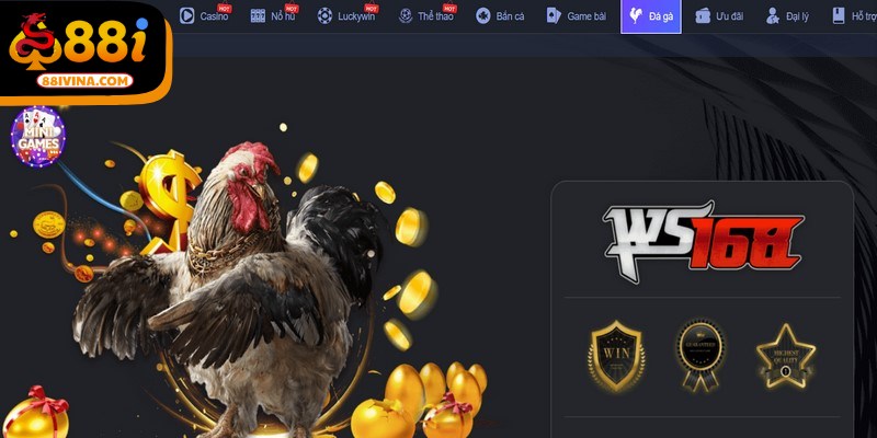 Đá gà tạo trải nghiệm cảm giác hồi hộp cũng như gay cấn từng phút 