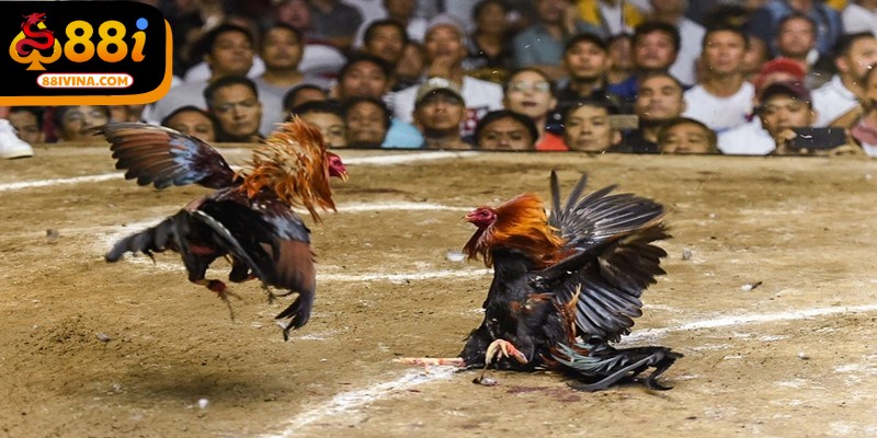 Một yếu tố giữ chân người chơi lâu dài chính là độ an toàn