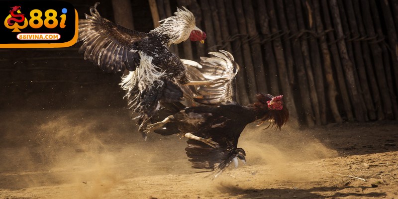 Một ưu điểm khiến hình thức này được ưa chuộng là an toàn cao