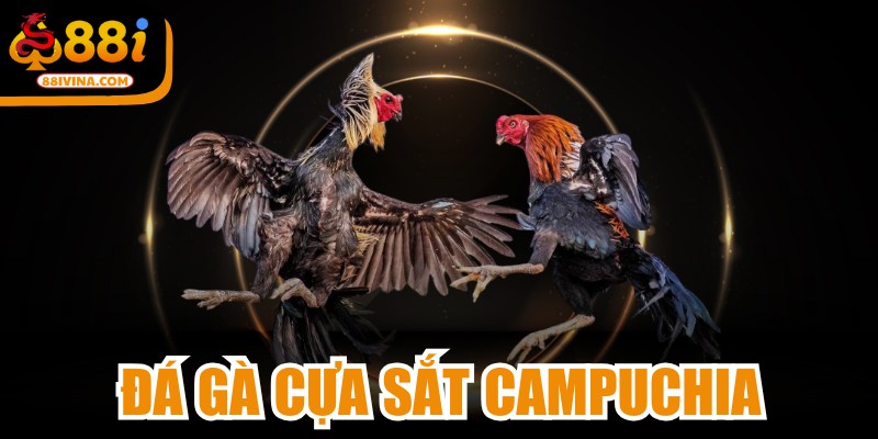 Đá Gà Cựa Sắt Campuchia