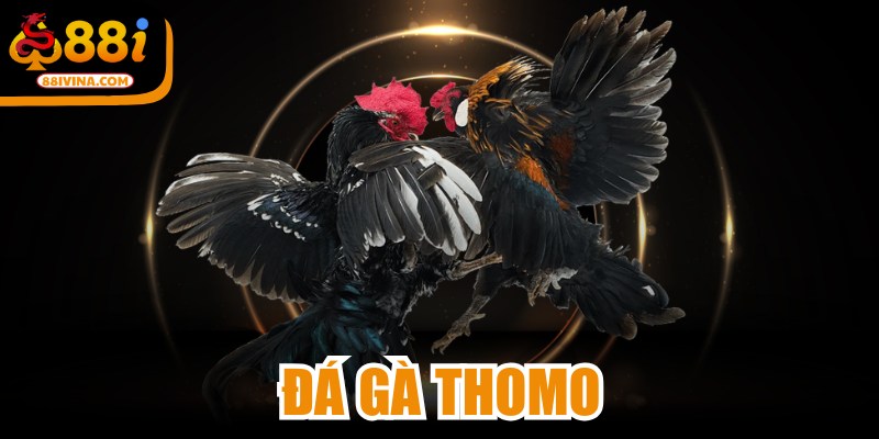 Đá Gà Thomo